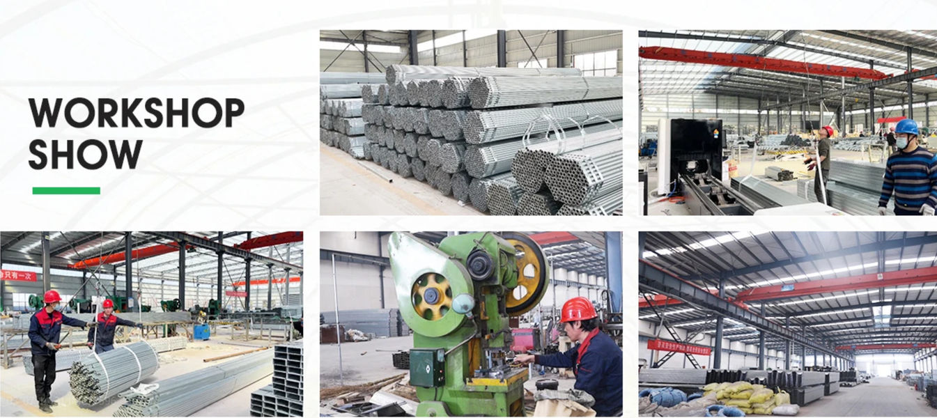 Shandong Lisent Agricultural Technology Co., Ltd. Produktionslinie des Herstellers